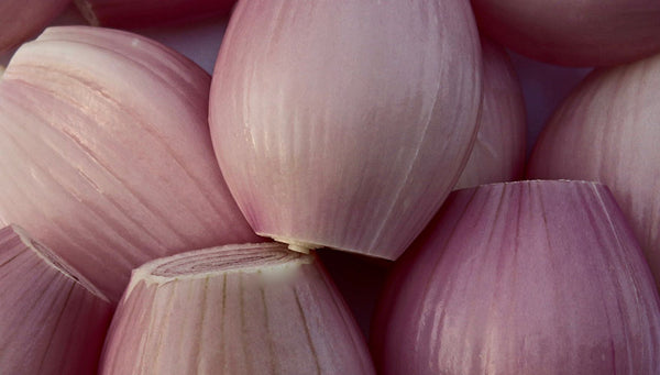 Shallot Dijon Dressing - Earth Exotics