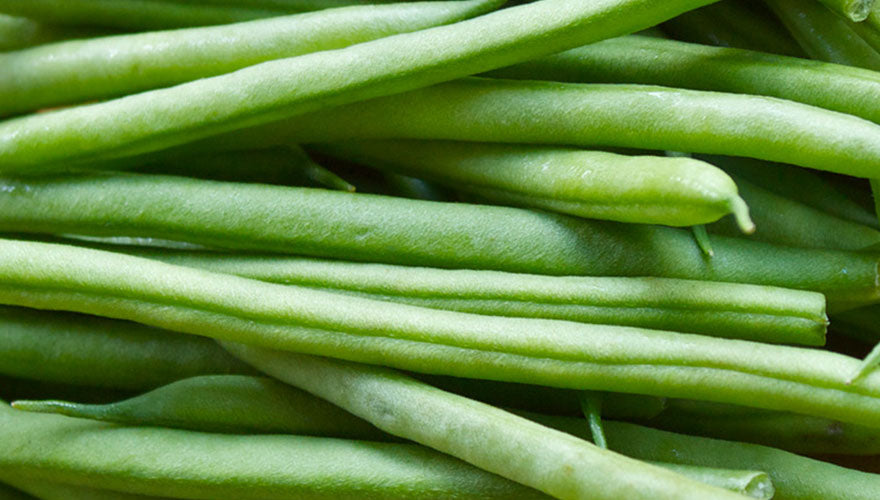 Haricot Verts with Shallot Dressing - Earth Exotics Haricot Verts with Shallot Dressing - Earth Exotics