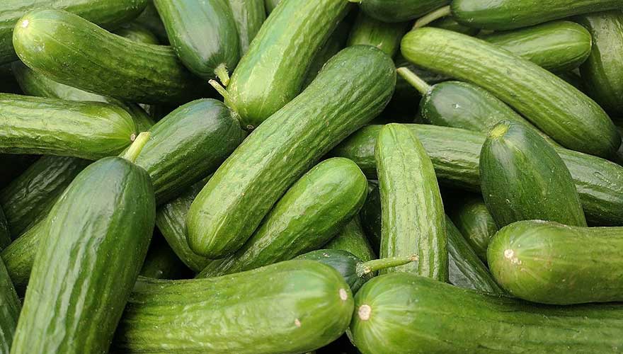 Creamy Cucumber Dressing