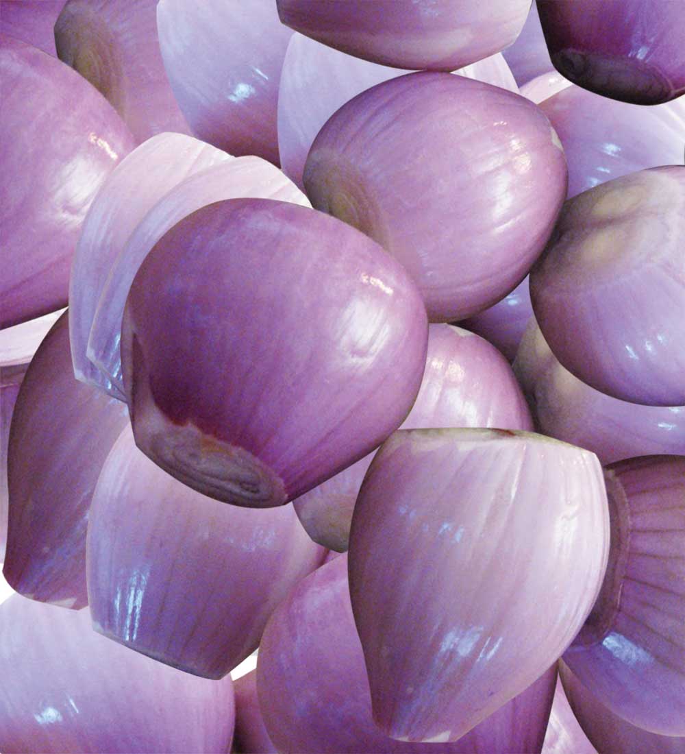 1lb French Shallots